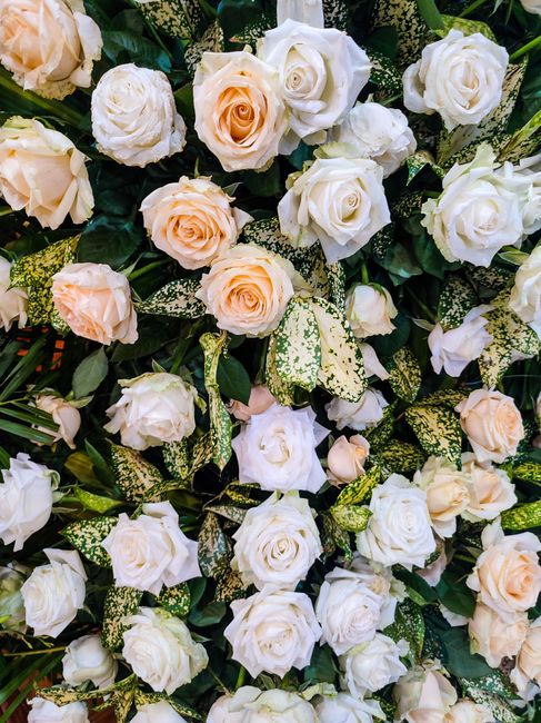 A lush bouquet arrangement featuring an assortment of white and pale peach roses, complemented by variegated green and cream foliage. The roses are in full bloom, with soft petals that exhibit a delic